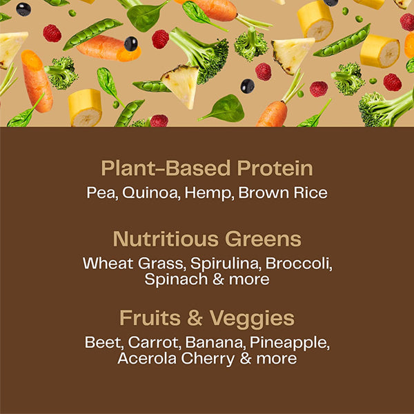 Amazing Grass Organic Plant Protein Blend 10-11 Servings