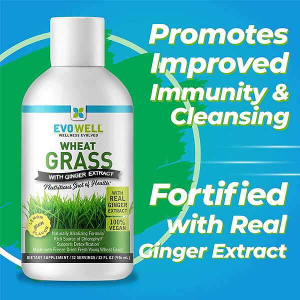 3 x 32oz EvoWell Wheat Grass With Ginger Extract