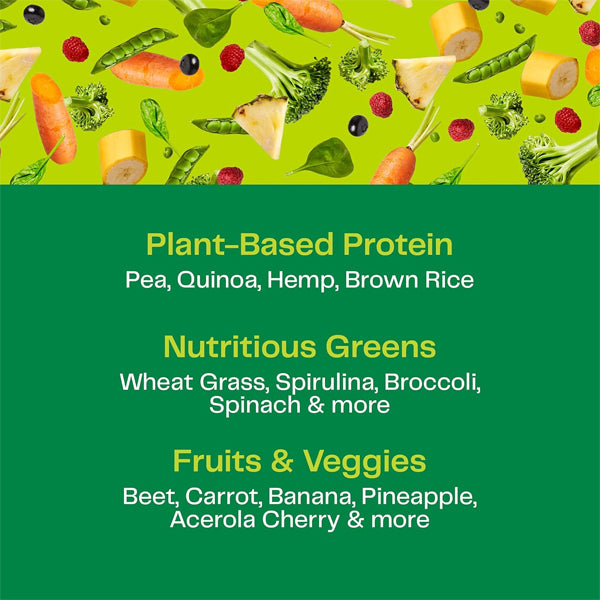Amazing Grass Organic Plant Protein Blend 10-12 Servings