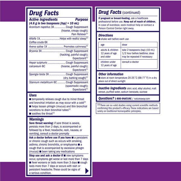 Boericke & Tafel Nighttime Cough & Bronchial Syrup 4oz