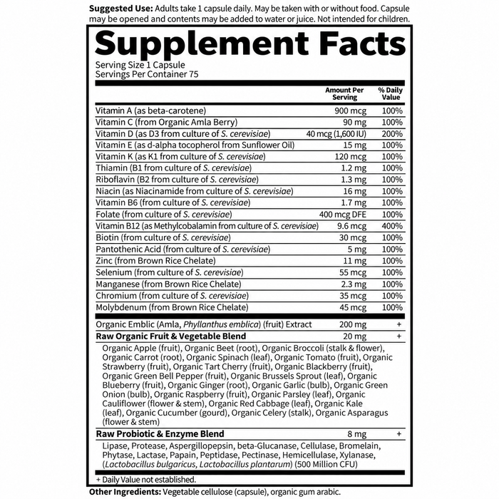 Garden Of Life Vitamin Code Raw One for Men 75 Capsules
