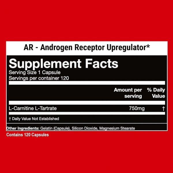 l carnitine testosterone receptors Gorilla Mode AR Capsules l carnitine testosterone receptors Gorilla Mode AR Capsules