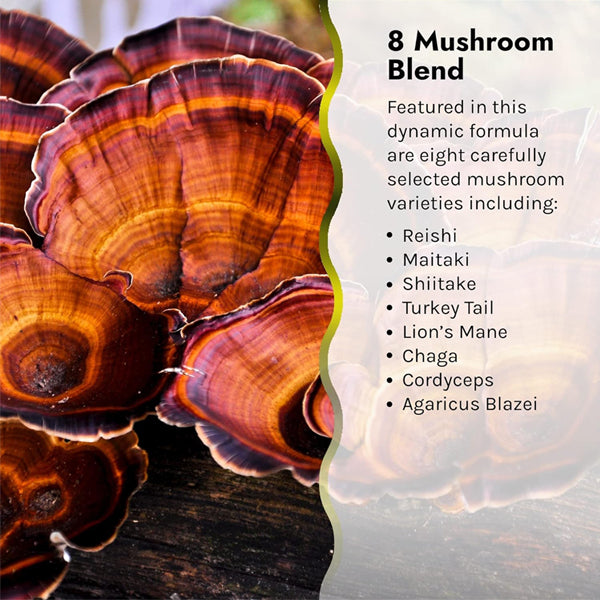 Irwin Naturals Pure Defense Mushroom-8 Immune Support Softgels