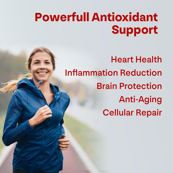 Longevity Box Trans Resveratrol 60 Capsules