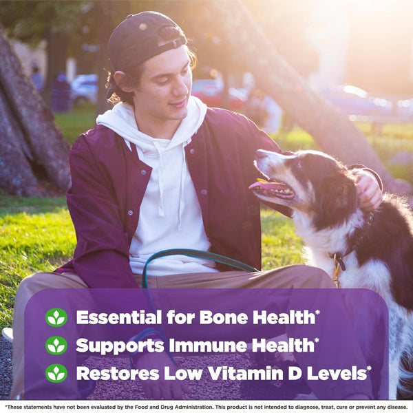 Natrol Vitamin D3 Bone & Joint Health 5,000IU 90 Tablets