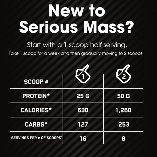 Optimum Nutrition Serious Mass 6lbs