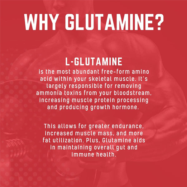 Purus Labs Glutamine 60 Servings