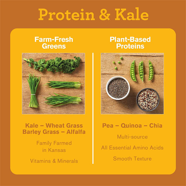 Amazing Grass Protein & Kale 15 Servings