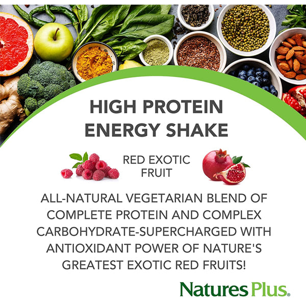 2 x 1.2lbs Natures Plus Fruitein High Protein Shake